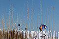 bild120