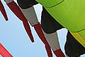 bild161