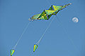 bild168