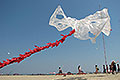 bild196