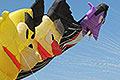 bild197