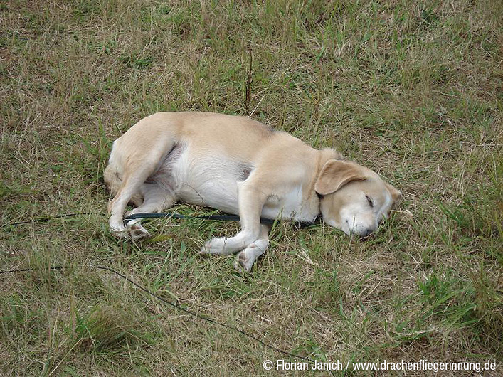 bild022