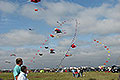 bild012