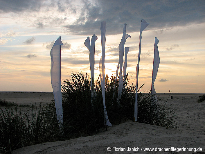 bild059
