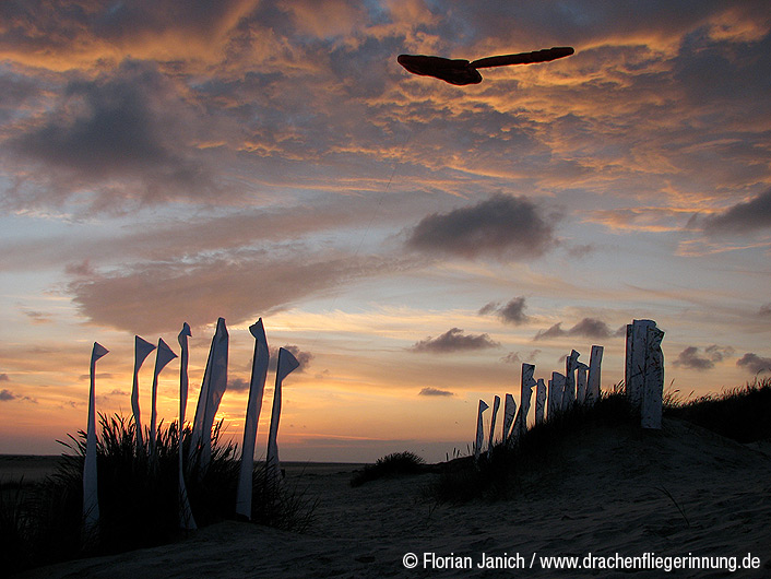 bild064