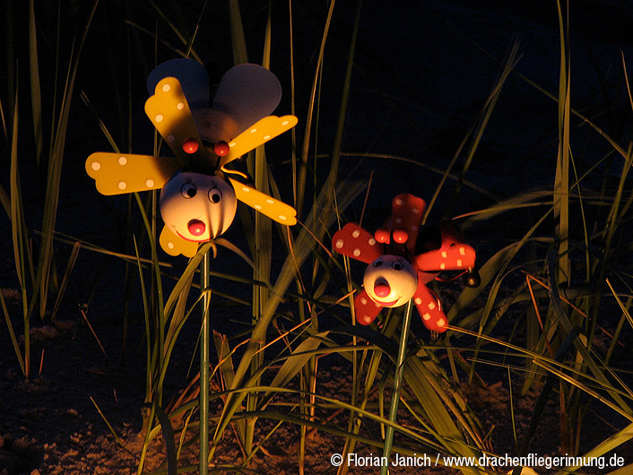 bild065
