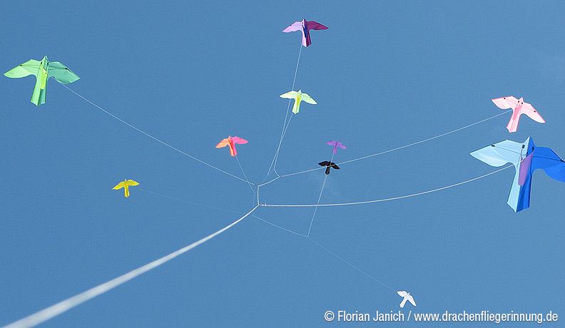 bild071