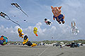 bild014