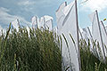 bild015