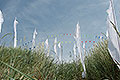 bild016