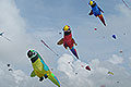 bild018
