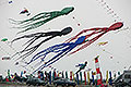 bild020