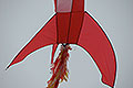 bild022