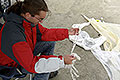 bild031