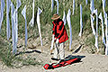 bild041