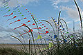 bild058