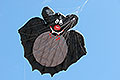 bild077