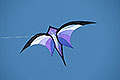 bild078