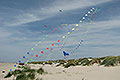 bild102