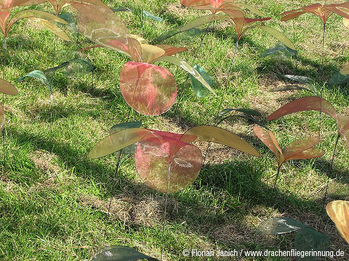 bild080