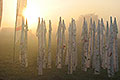 bild051