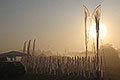 bild063