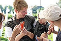 bild067