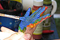 bild071