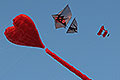 bild011