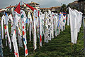 bild018