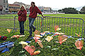 bild020