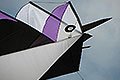 bild026