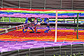 bild031