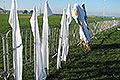 bild060