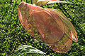 bild064