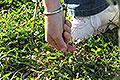 bild065