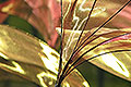 bild066