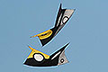 bild088