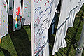 bild102