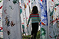 bild105