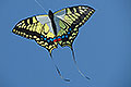 bild112