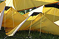 bild119