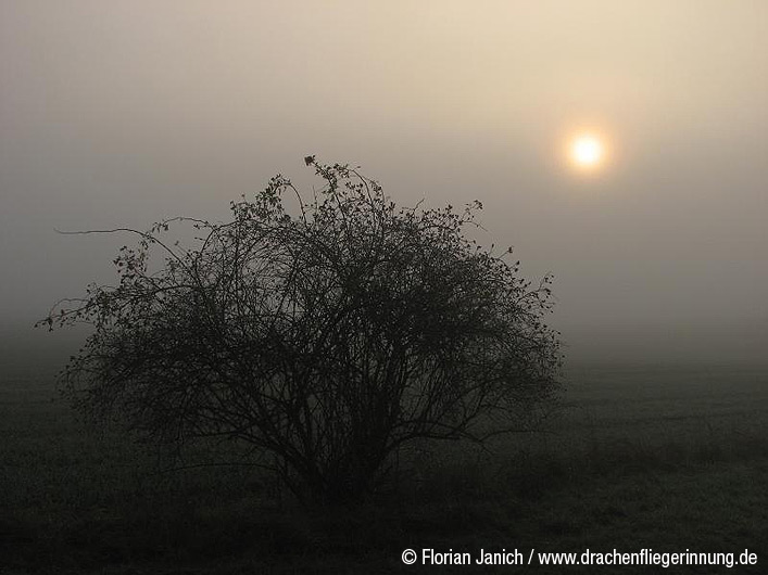 bild003