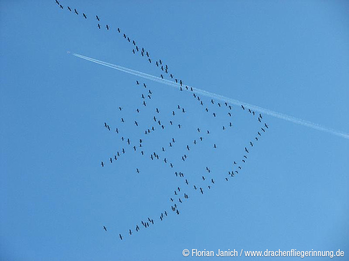 bild028
