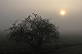 bild003