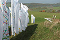 bild012