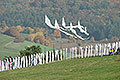 bild018