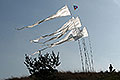 bild021