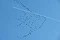 bild028