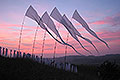 bild040